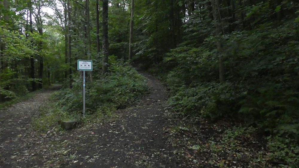 Sächsische Schweiz
