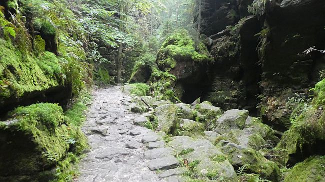 Sächsische Schweiz