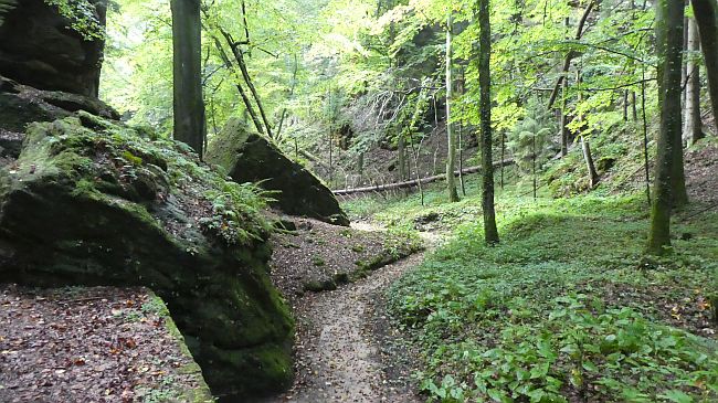 Sächsische Schweiz