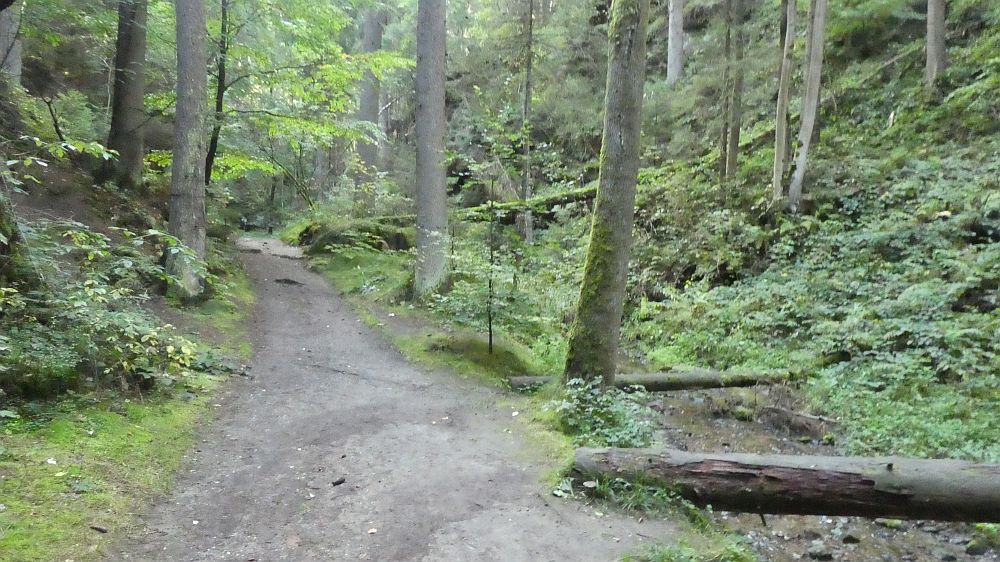 Sächsische Schweiz