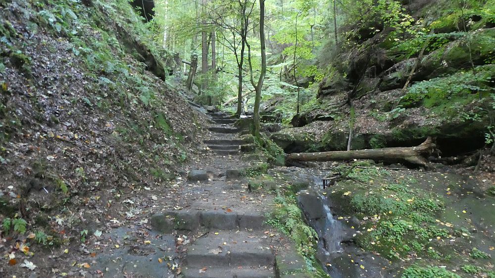 Sächsische Schweiz