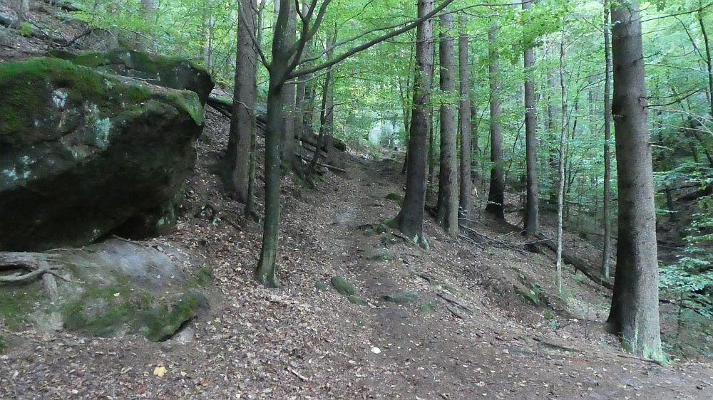 Sächsische Schweiz