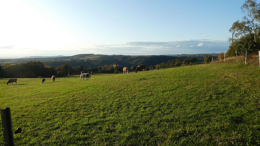 Sächsische Schweiz