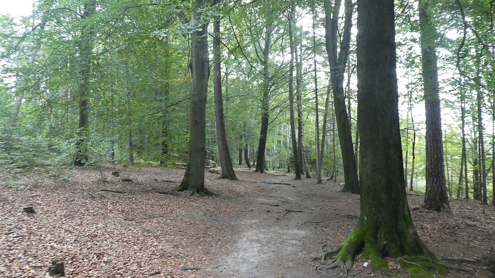 Sächsische Schweiz