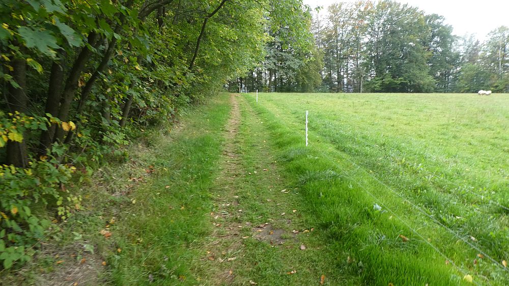 Sächsische Schweiz