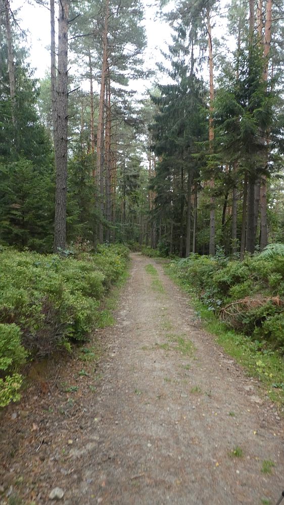 Sächsische Schweiz