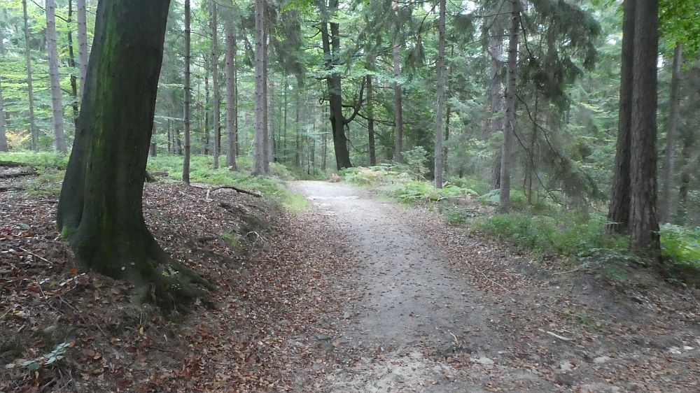 Sächsische Schweiz