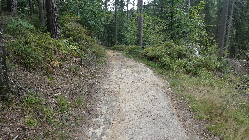 Sächsische Schweiz