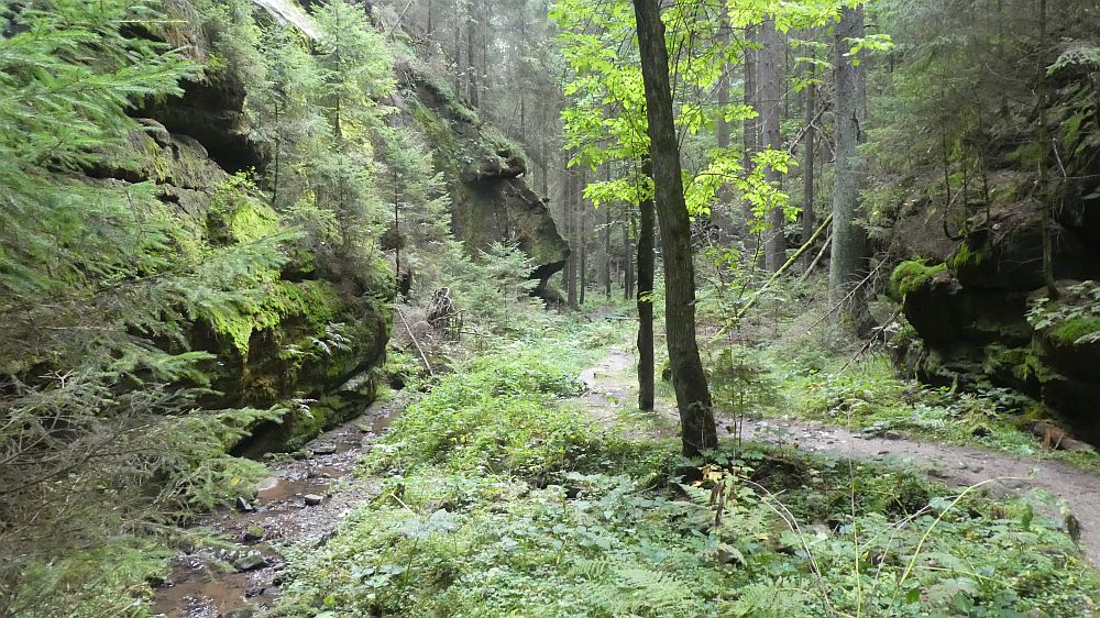 Sächsische Schweiz