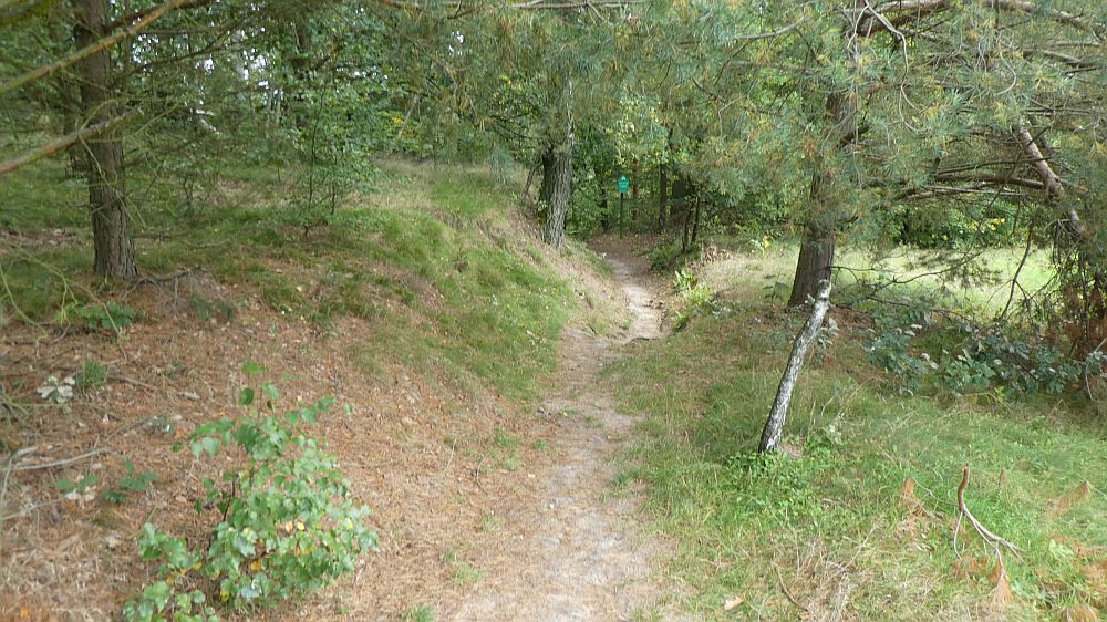 Sächsische Schweiz