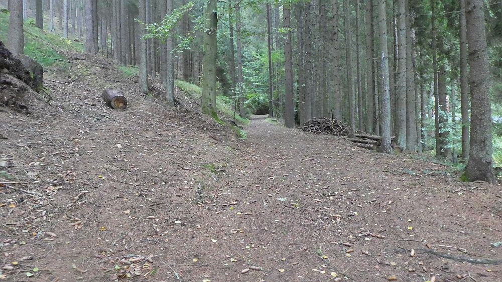 Sächsische Schweiz