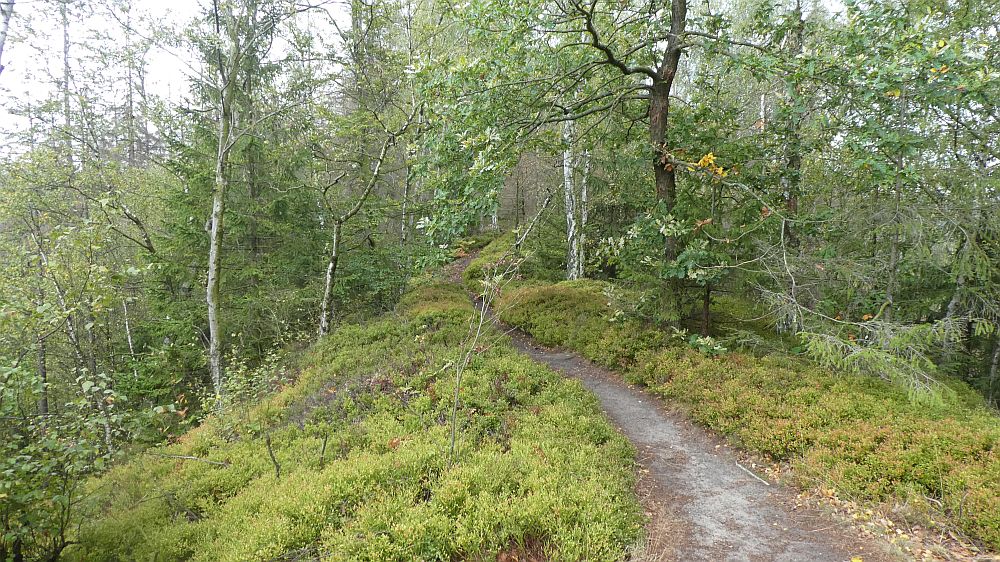 Sächsische Schweiz