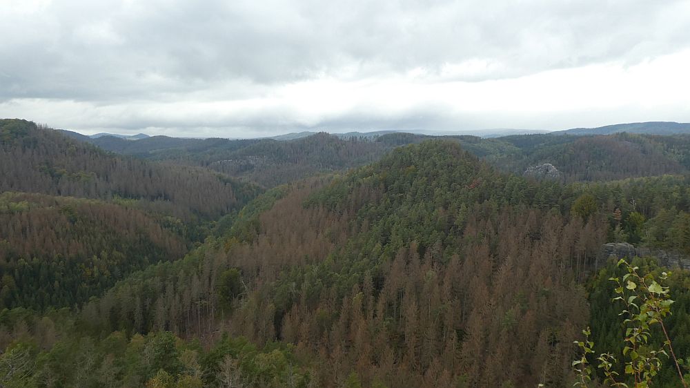 Sächsische Schweiz