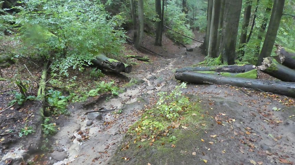 Sächsische Schweiz