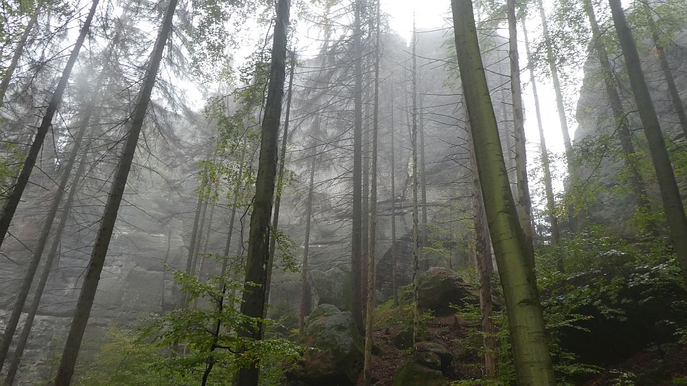 Sächsische Schweiz