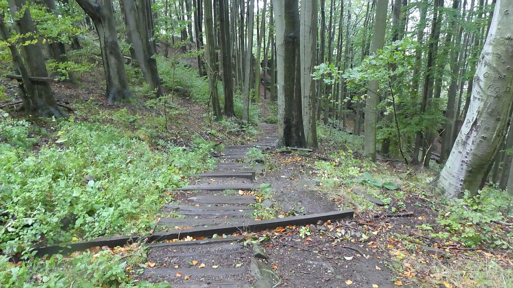 Sächsische Schweiz