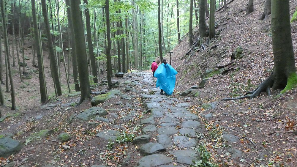 Sächsische Schweiz