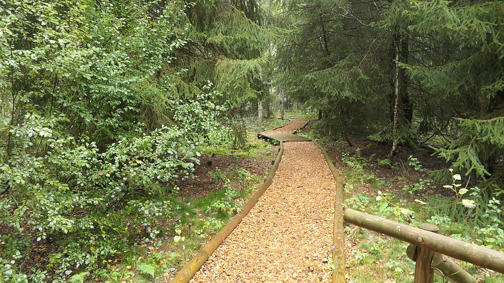 Moorlehrpfad Ponts-de-Martel