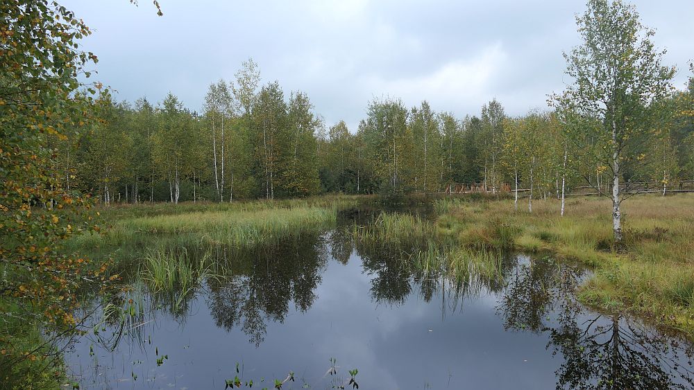 Moorlehrpfad Ponts-de-Martel