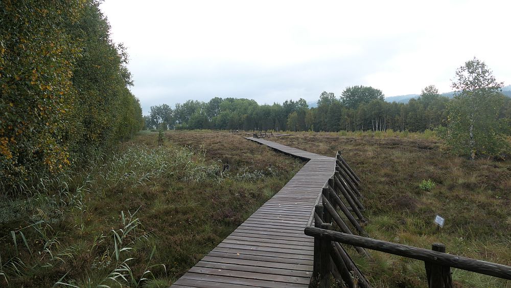 Moorlehrpfad Ponts-de-Martel