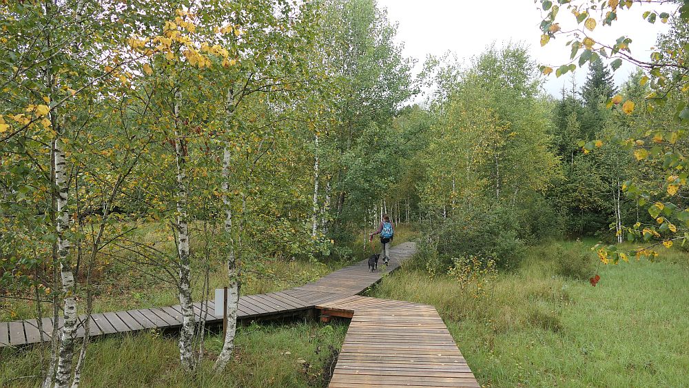 Moorlehrpfad Ponts-de-Martel