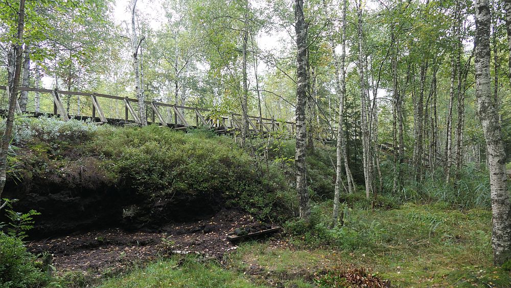 Moorlehrpfad Ponts-de-Martel
