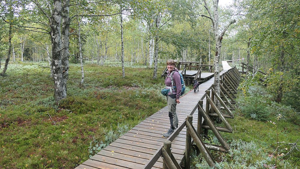 Moorlehrpfad Ponts-de-Martel