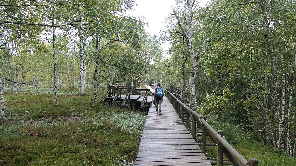 Moorlehrpfad Ponts-de-Martel