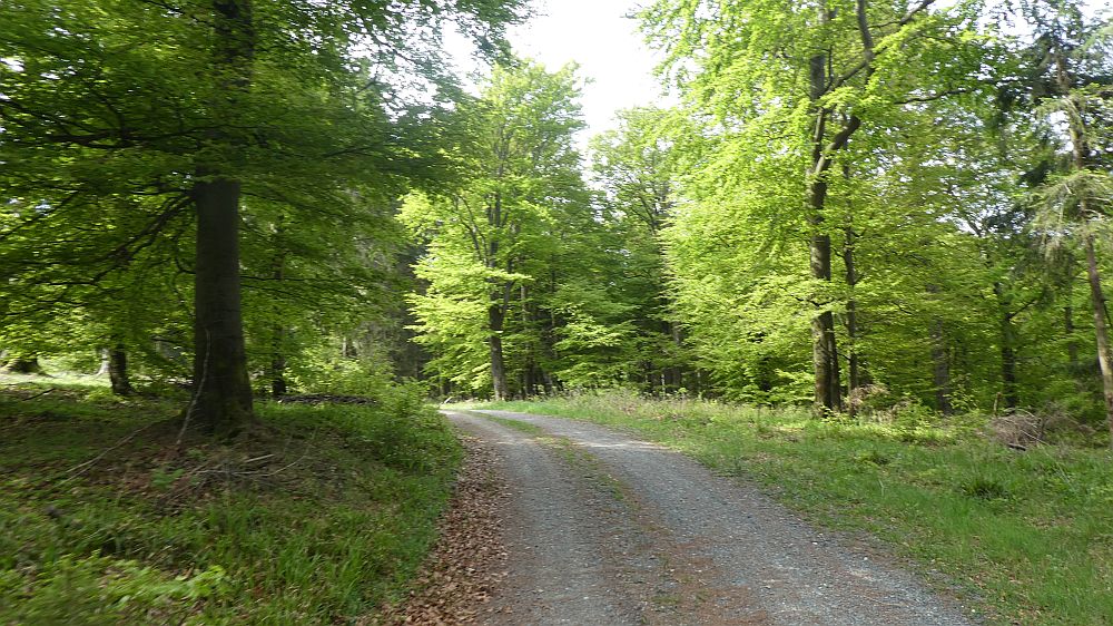 Medebacher Bergweg