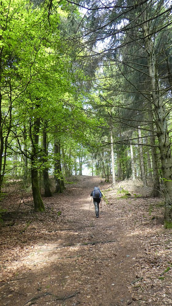 Medebacher Bergweg