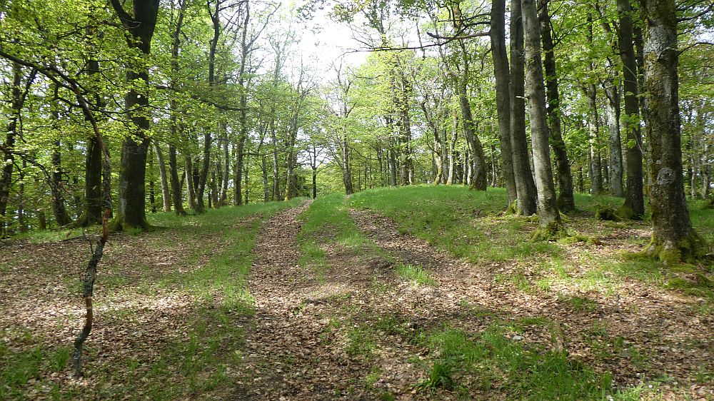 Medebacher Bergweg