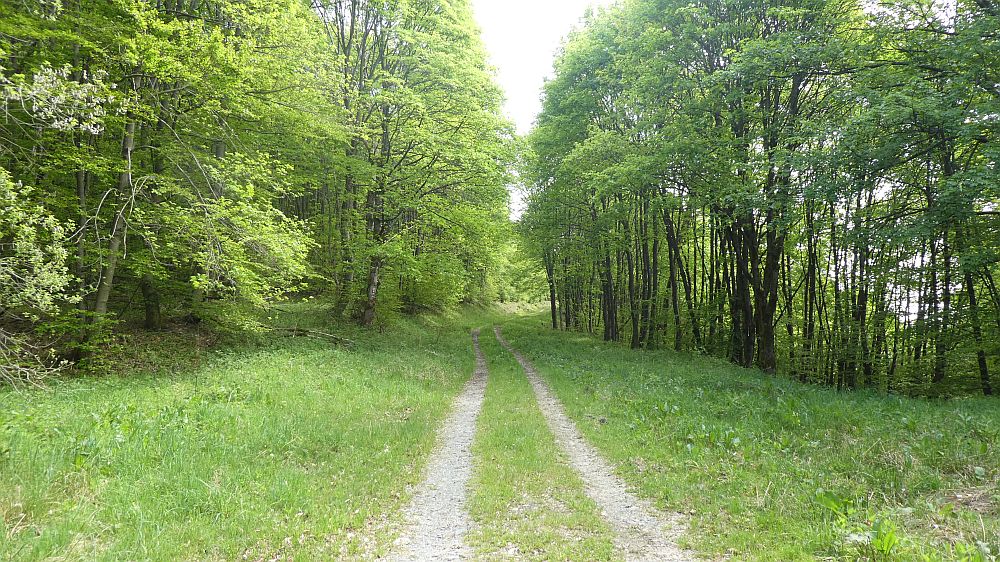 Medebacher Bergweg