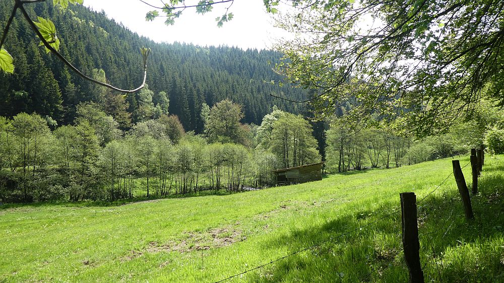 Medebacher Bergweg