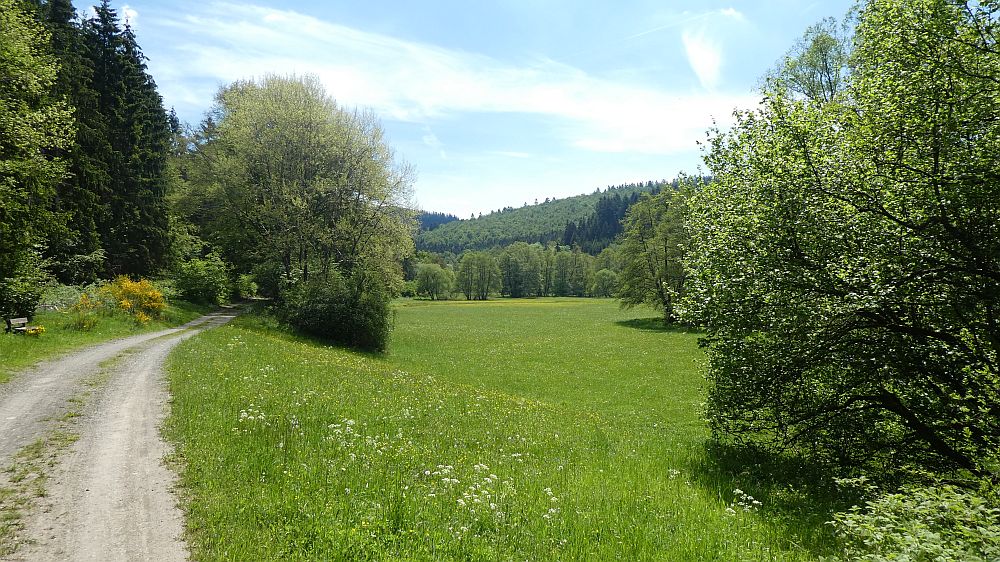 Medebacher Bergweg
