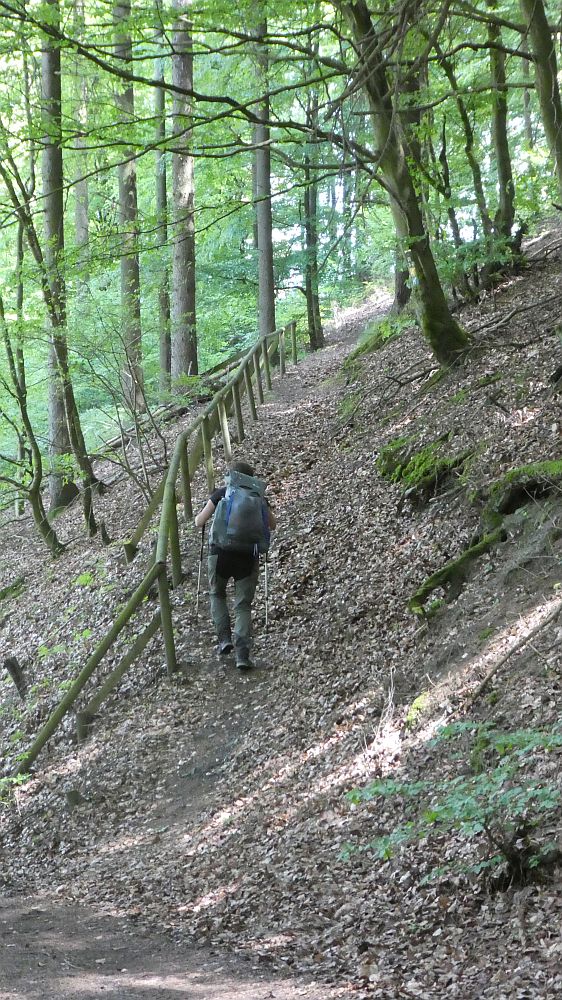 Medebacher Bergweg
