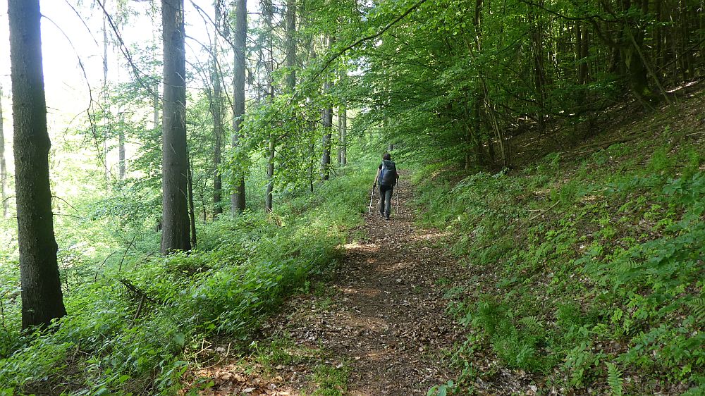 Medebacher Bergweg