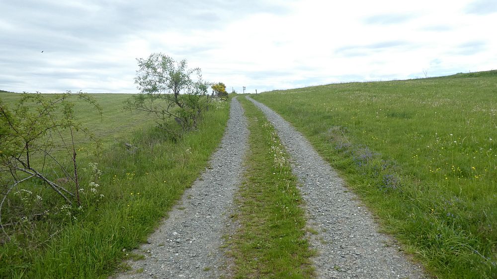 Medebacher Bergweg