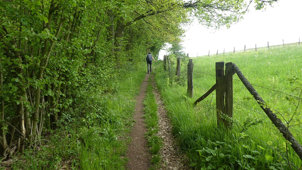 Medebacher Bergweg
