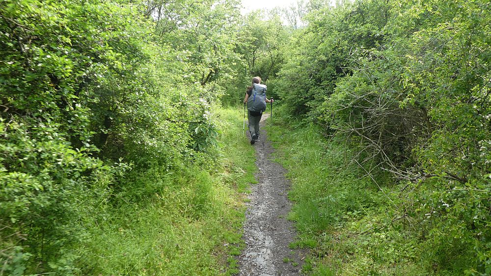 Medebacher Bergweg