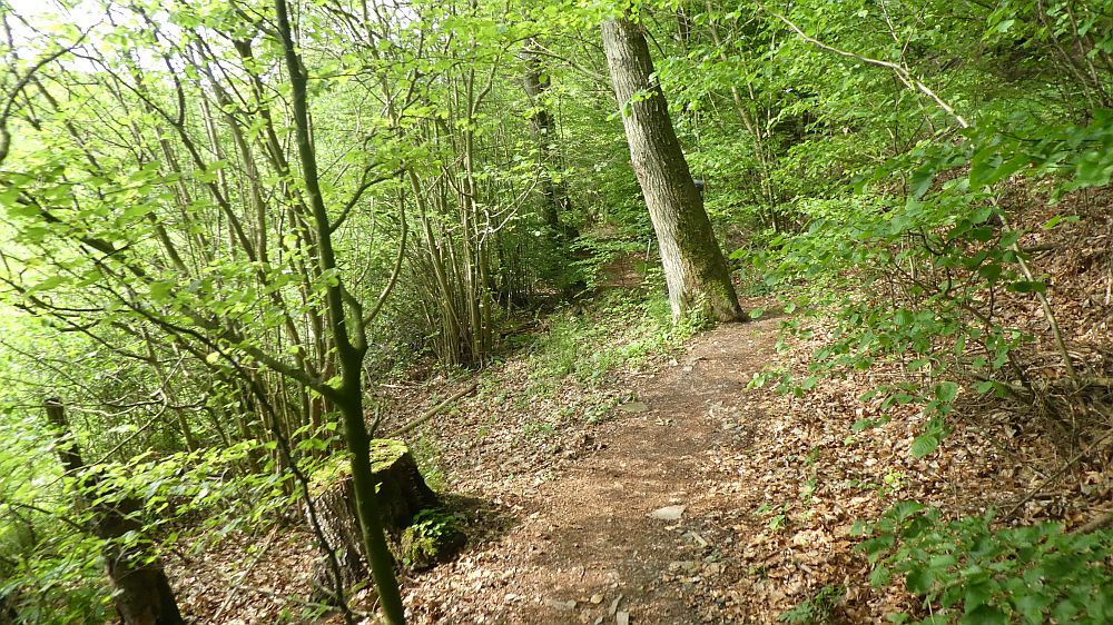 Medebacher Bergweg