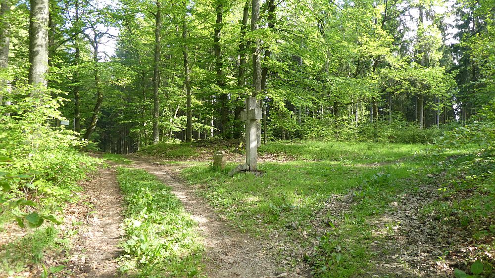 Medebacher Bergweg
