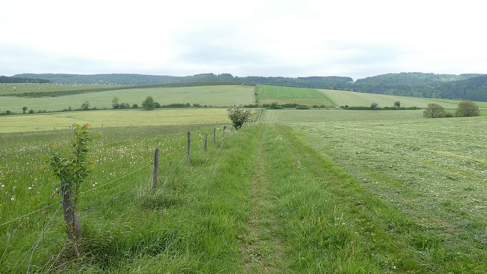 Medebacher Bergweg