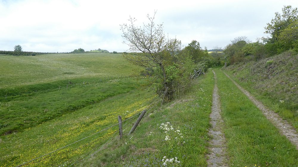 Medebacher Bergweg