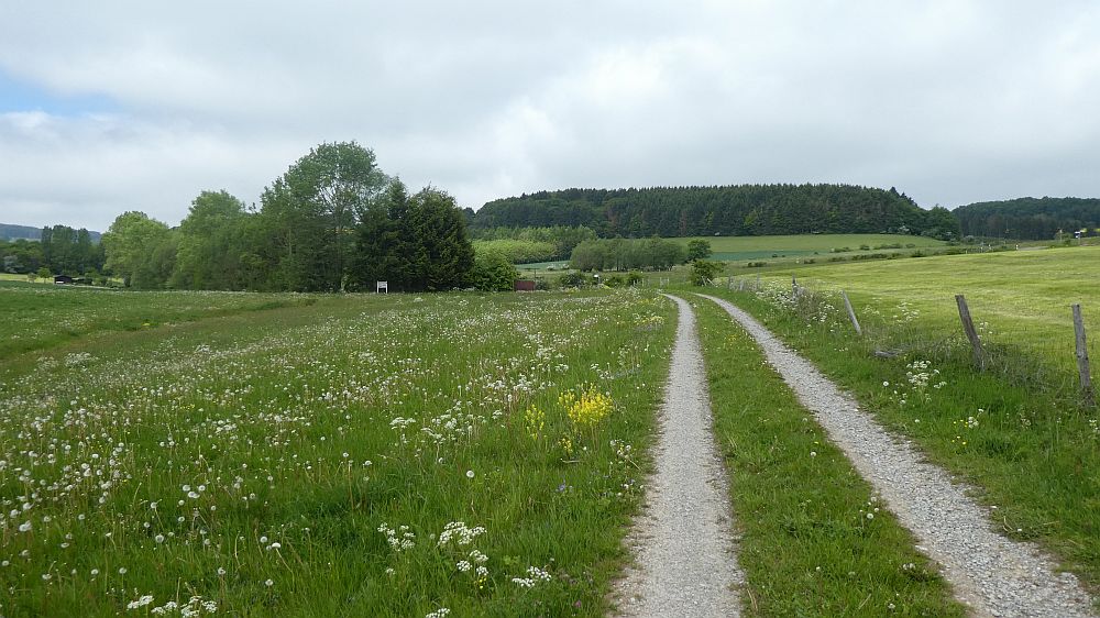 Medebacher Bergweg