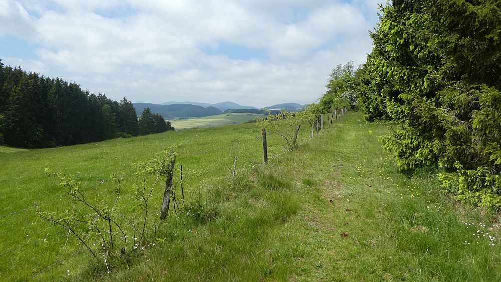 Medebacher Bergweg