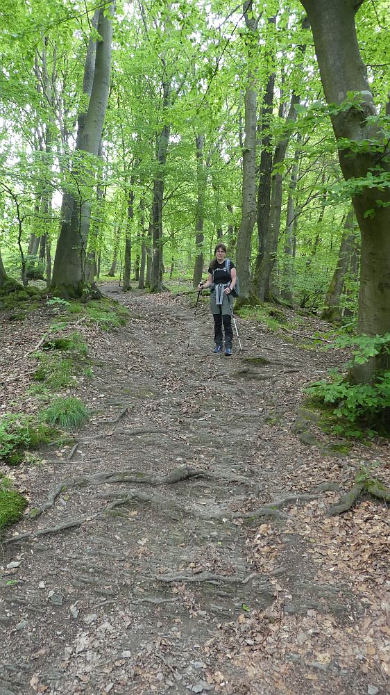 Medebacher Bergweg