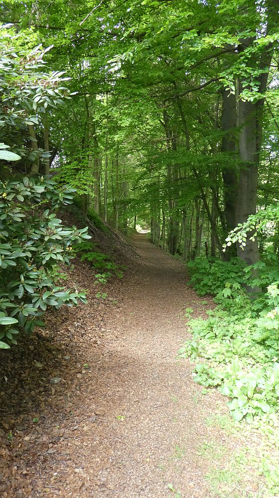 Medebacher Bergweg