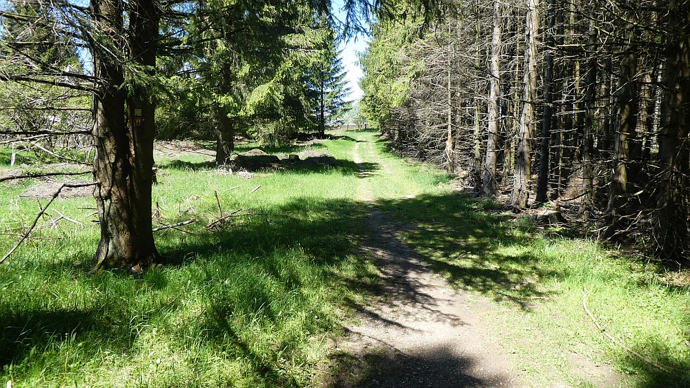 Medebacher Bergweg