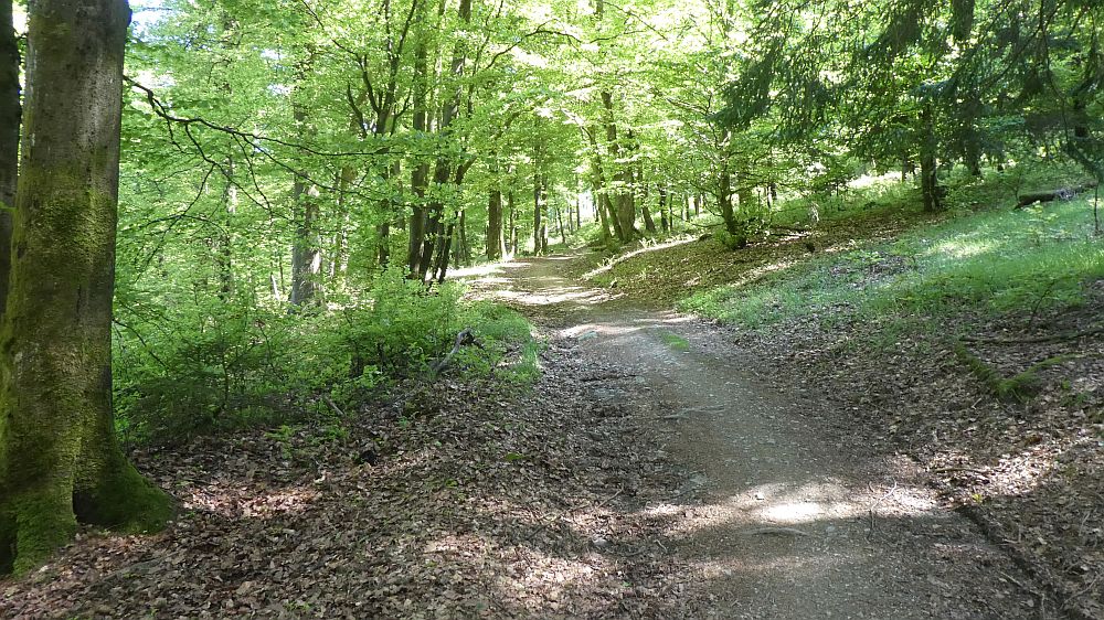 Medebacher Bergweg