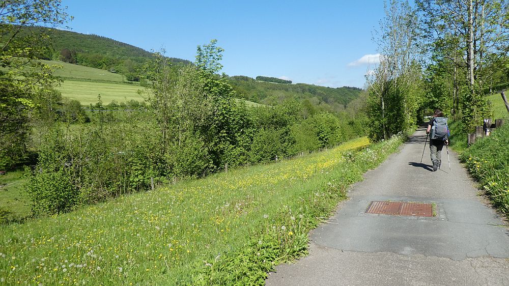 Medebacher Bergweg